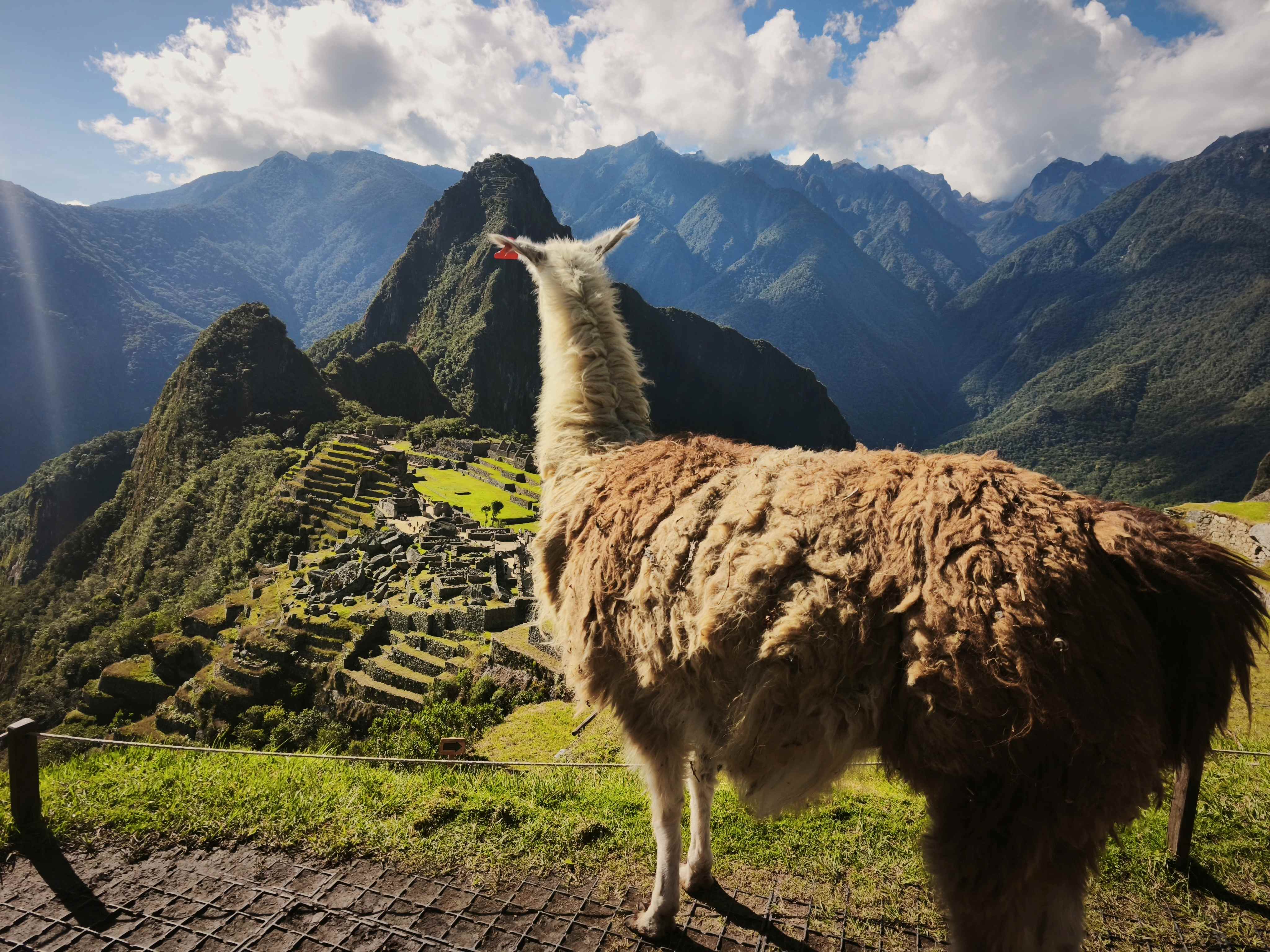 Sacred Valley and Machu Picchu - 2 Days