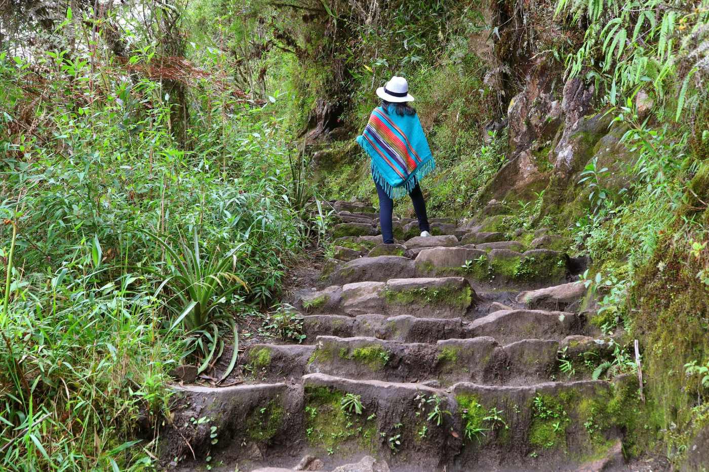INCA TRAIL 2026: EVERYTHING YOU NEED TO KNOW TO BOOK