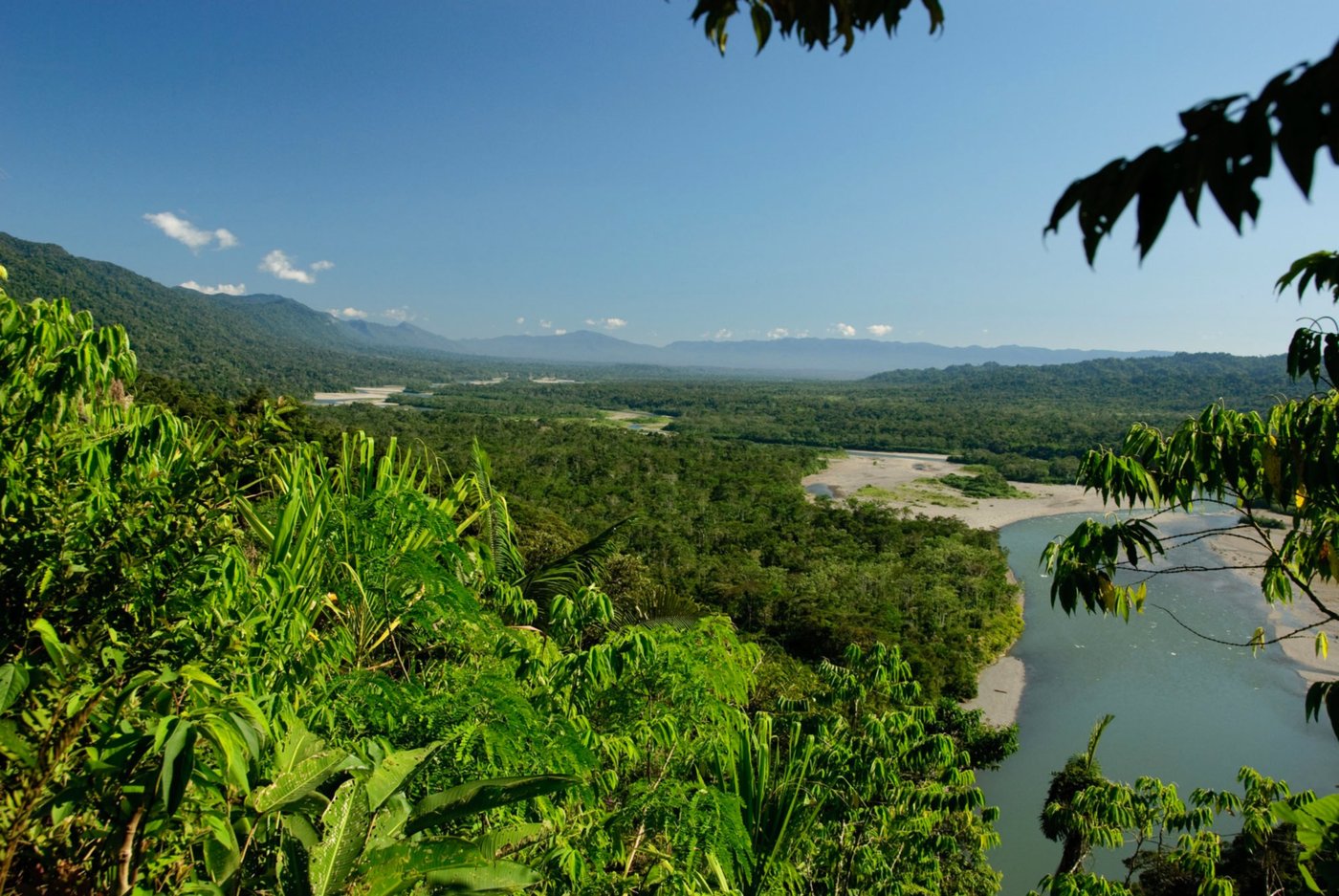 Manu Reserved Zone 5 days experience, Peruvian Amazon - photo 1
