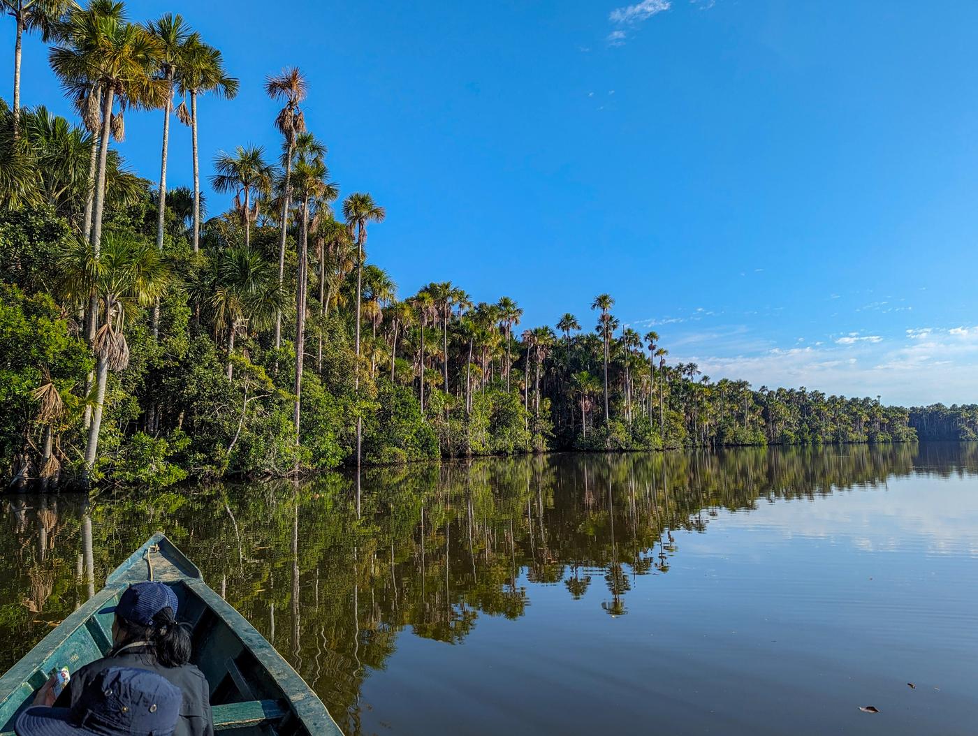 Peru between the Andes and the Amazon, 11 days - photo 1