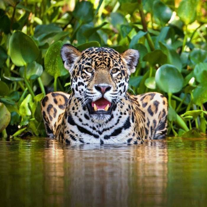 MANU TOUR – RESERVED ZONE 7 DAYS