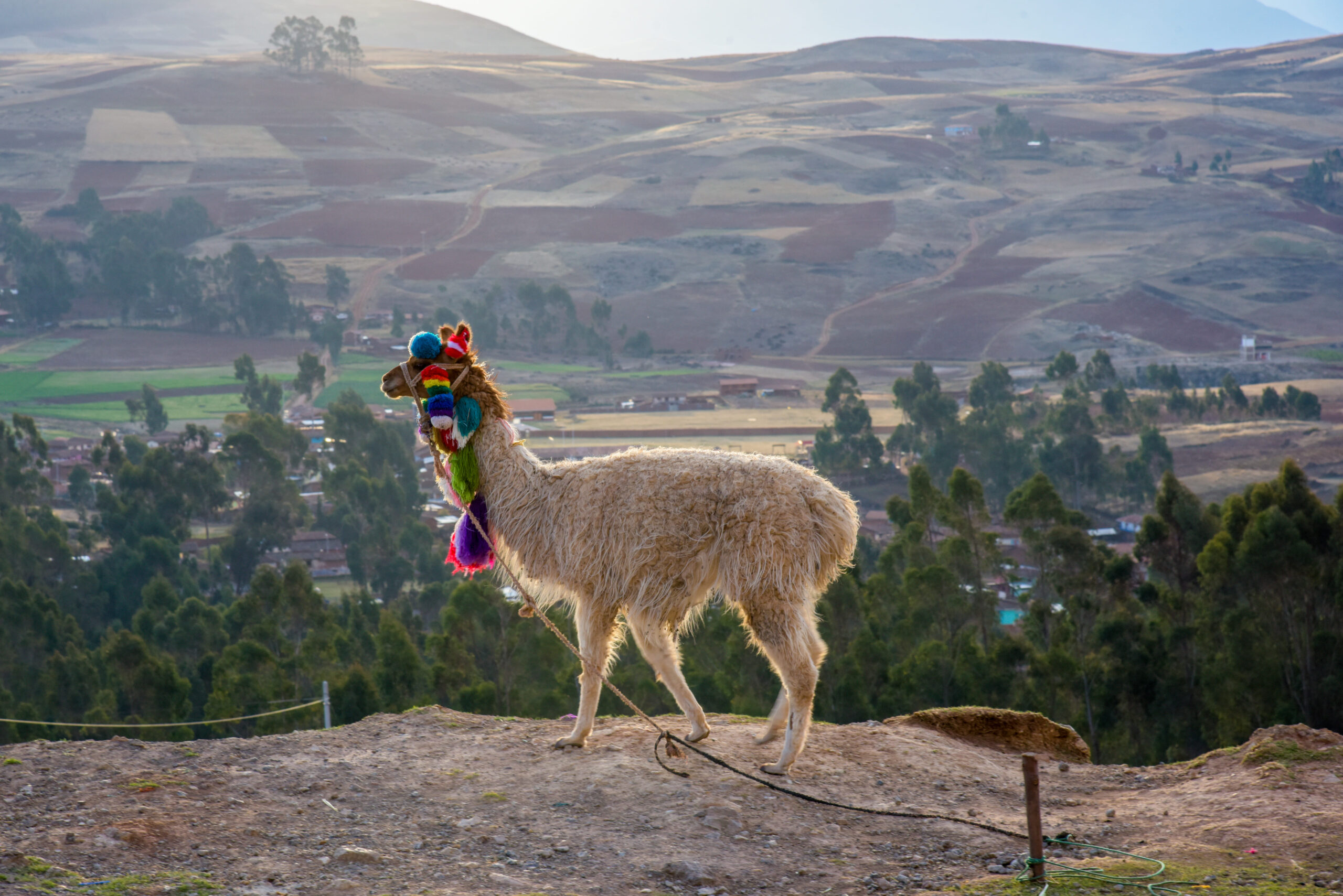 VALLE SAGRADO DE LOS INCAS – 1 DÍA
